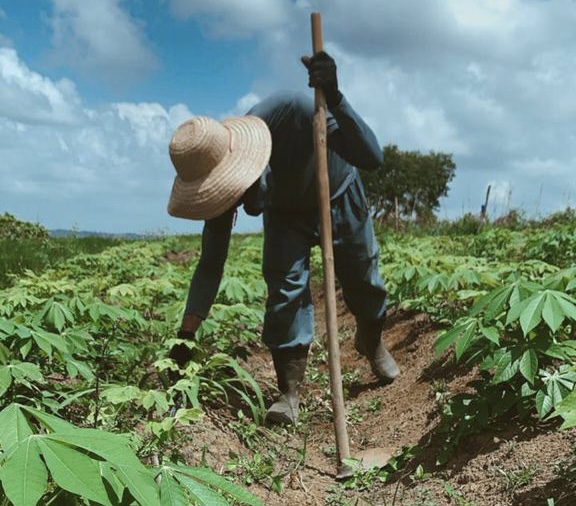 Aposentadoria Rural: Novas Decisões Judiciais Ampliam Direitos dos Trabalhadores do Campo!